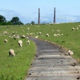 2505F 033 Pburg-Duemmer